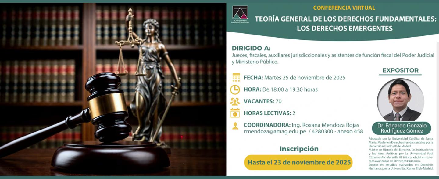 Conferencia virtual 